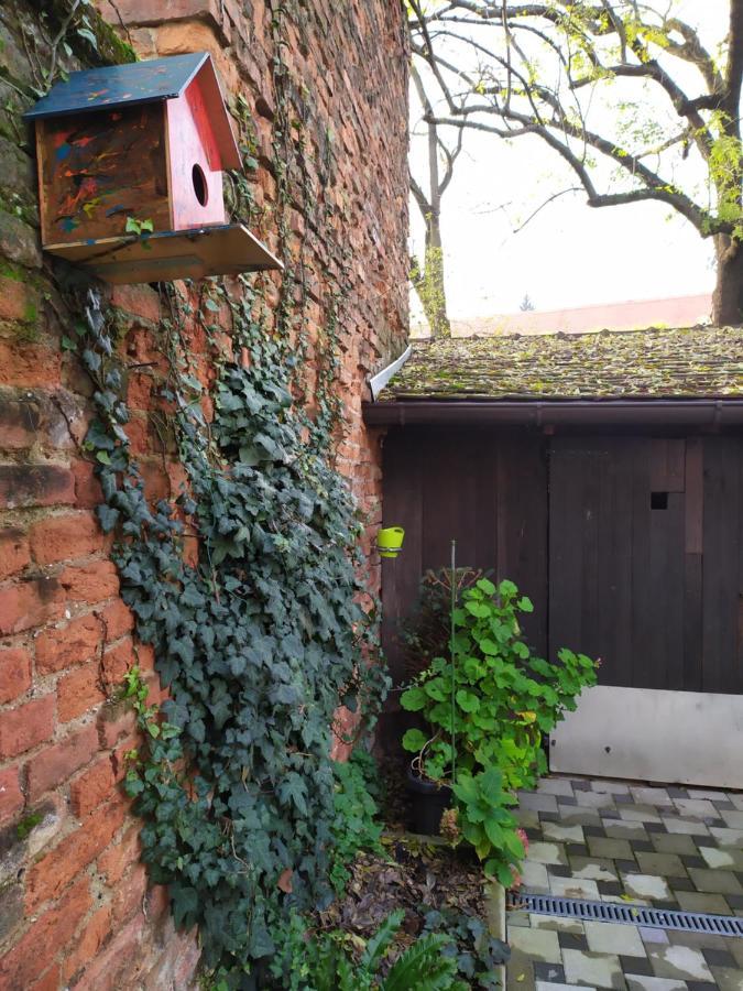 Tiny Cozy Accommodation Zagreb Luaran gambar
